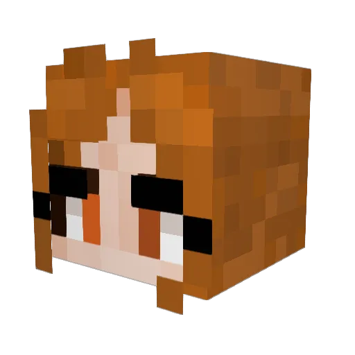 Franxx005 Minecraft avatar head, 3D render