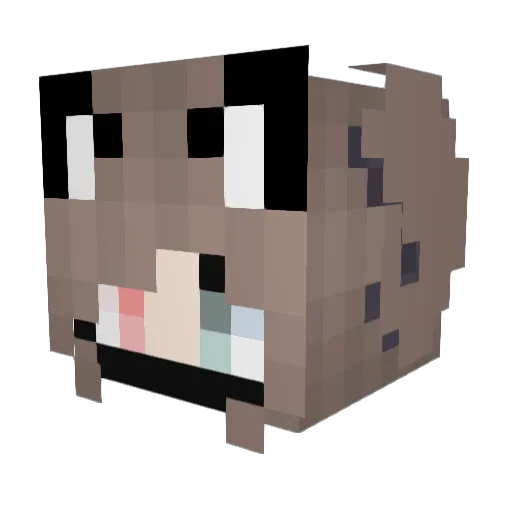 Franzi0702 Minecraft avatar head, 3D render