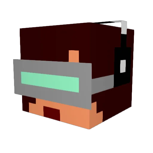 Franzi2406 Minecraft avatar head, 3D render