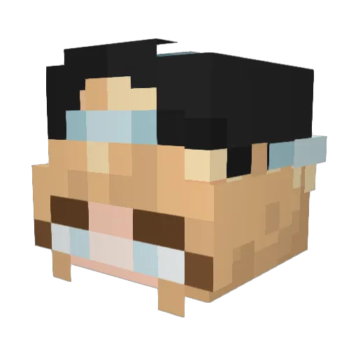 Franzi_256 Minecraft avatar head, 3D render
