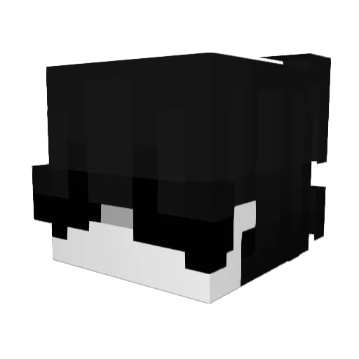 FranzoDnx Minecraft avatar head, 3D render