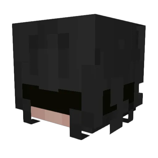 Franzyx7 Minecraft avatar head, 3D render
