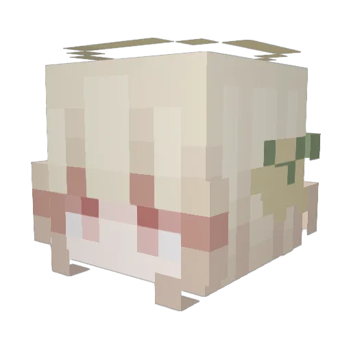 Frasah Minecraft avatar head, 3D render