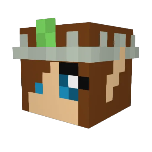Frasdawg Minecraft avatar head, 3D render