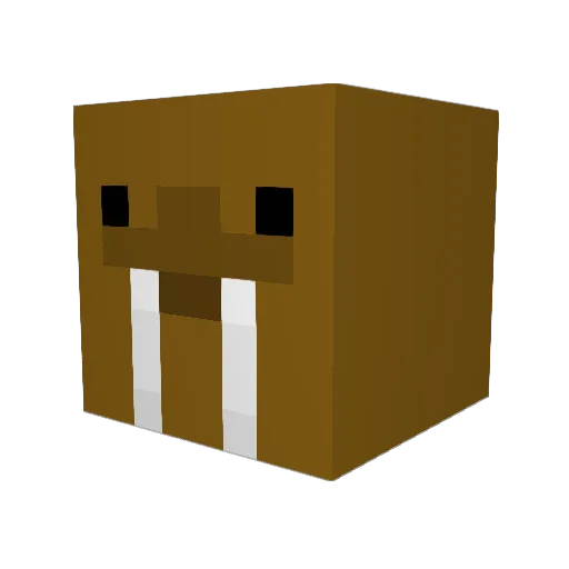 FraserOG Minecraft avatar head, 3D render