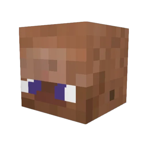Fraser__ Minecraft avatar head, 3D render