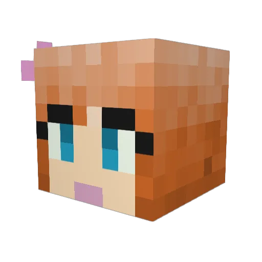 Frassled Minecraft avatar head, 3D render