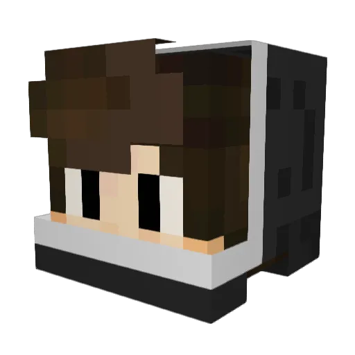 Fratnay Minecraft avatar head, 3D render