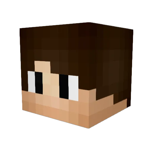 Fraty_Cz Minecraft avatar head, 3D render
