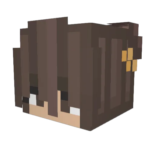 Frau_Hummel Minecraft avatar head, 3D render