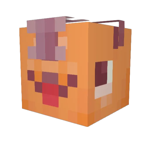 Frauggie Minecraft avatar head, 3D render