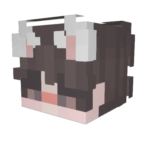 Frawwwg Minecraft avatar head, 3D render