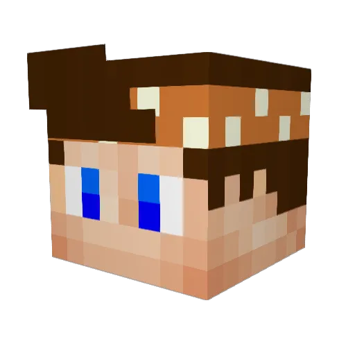 FrayFire Minecraft avatar head, 3D render