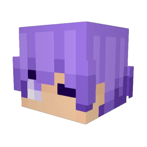 Fraylune Minecraft avatar head, 3D render