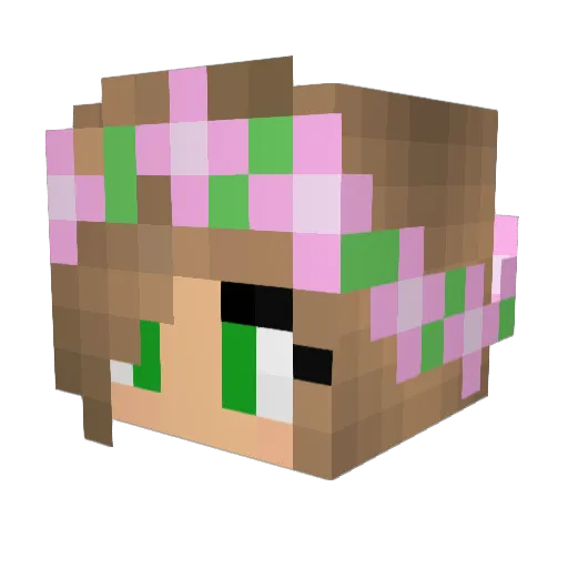 Fraysie Minecraft avatar head, 3D render