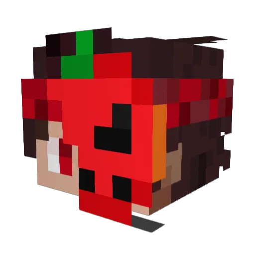 Frayzher Minecraft avatar head, 3D render