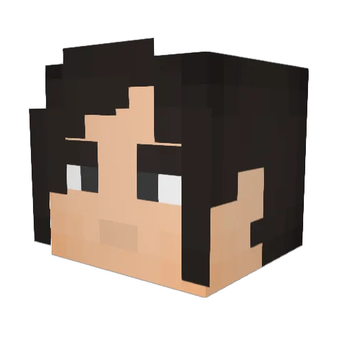 Fraz908 Minecraft avatar head, 3D render