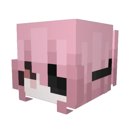 Frazils_mommy Minecraft avatar head, 3D render