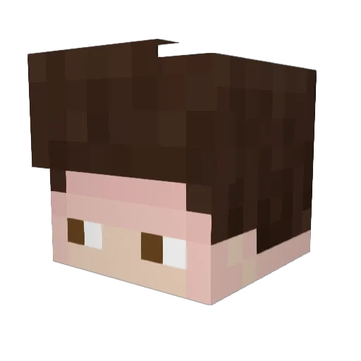 Frddylul Minecraft avatar head, 3D render