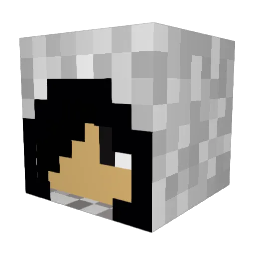 Fre125ddy Minecraft avatar head, 3D render