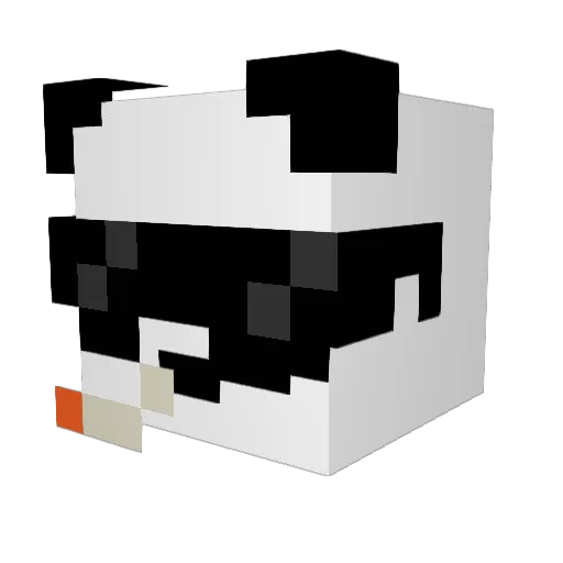 FreZzDeStRoYeR Minecraft avatar head, 3D render