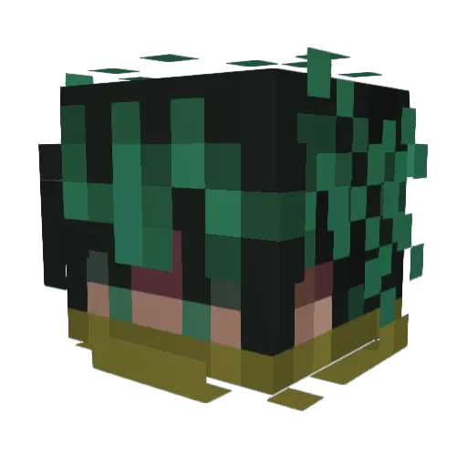 FreaKyIl Minecraft avatar head, 3D render