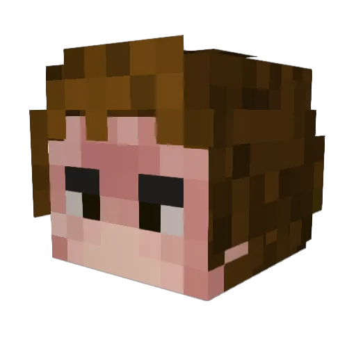 FreaXs_ Minecraft avatar head, 3D render