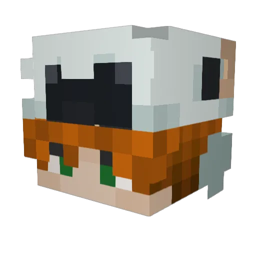 Freagan_16 Minecraft avatar head, 3D render