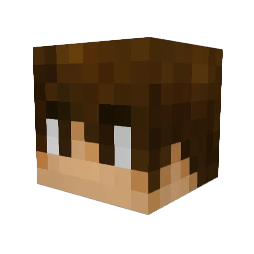 FreakToast Minecraft avatar head, 3D render