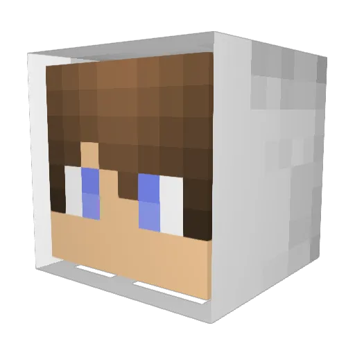 FreakingNinja Minecraft avatar head, 3D render
