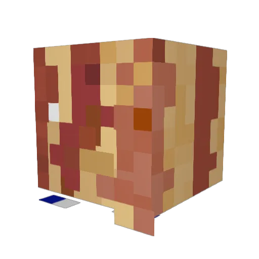 FreakyBaconBoy Minecraft avatar head, 3D render