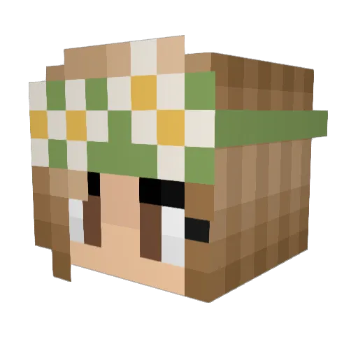 FreakyFloortje Minecraft avatar head, 3D render