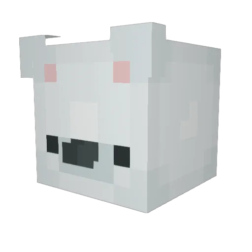 FreakySpaceKitty Minecraft avatar head, 3D render