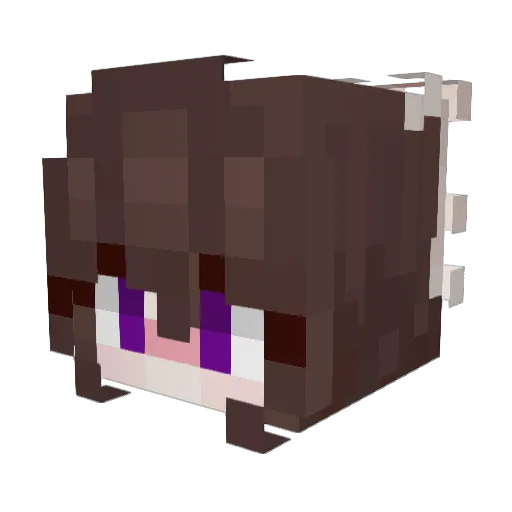 FreakyVir Minecraft avatar head, 3D render