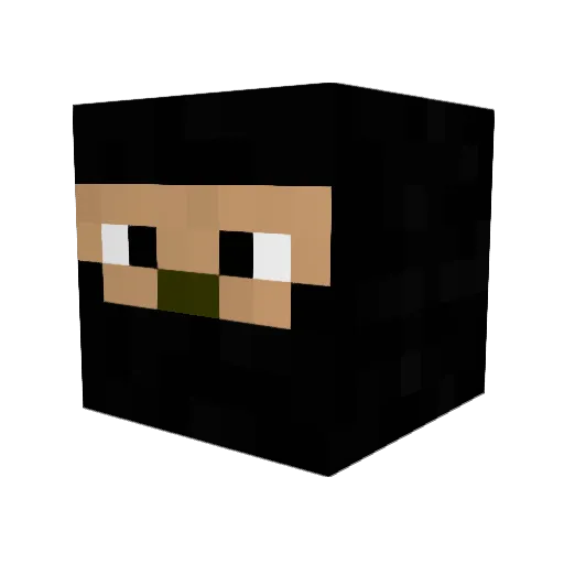 Freaky_Ninja Minecraft avatar head, 3D render