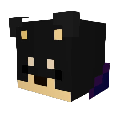 Freakyyfied Minecraft avatar head, 3D render