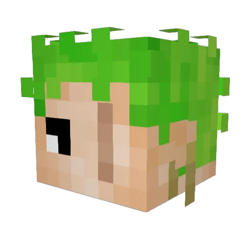 Freakz_ppl Minecraft avatar head, 3D render