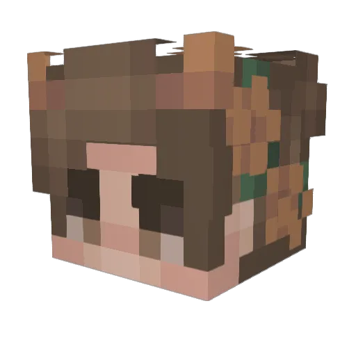 FrebWasTaken Minecraft avatar head, 3D render