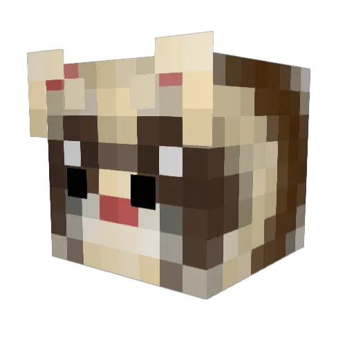 FreciaNeo Minecraft avatar head, 3D render