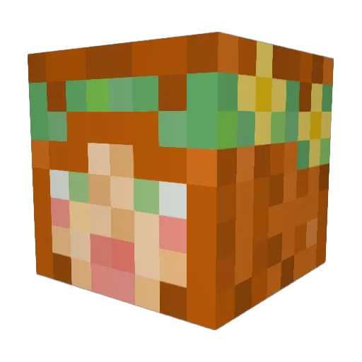Freckledsun86 Minecraft avatar head, 3D render