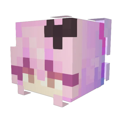 Frecklelapis Minecraft avatar head, 3D render
