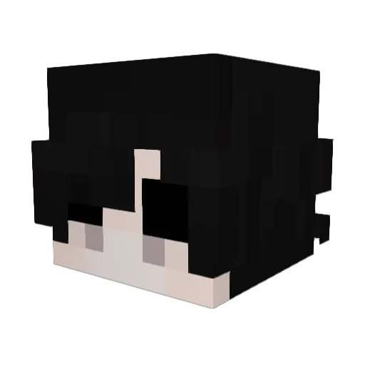 Frecss Minecraft avatar head, 3D render