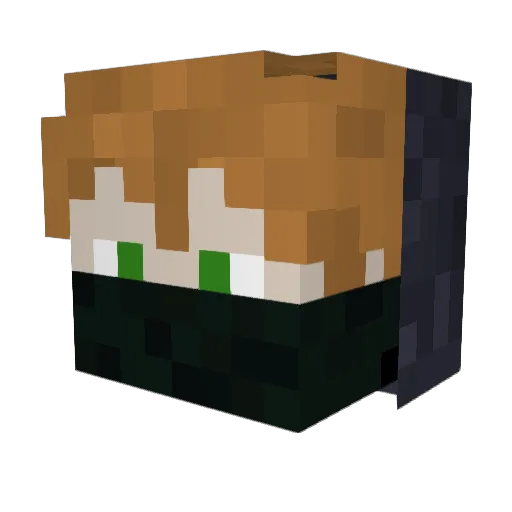 FredNotHere Minecraft avatar head, 3D render