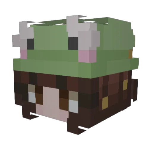 FredThePumpkin Minecraft avatar head, 3D render