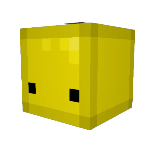 Fred_Durst_Fan03 Minecraft avatar head, 3D render