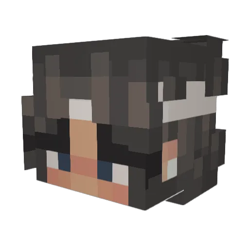 Freddeboi Minecraft avatar head, 3D render