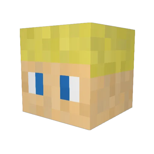 Freddi1995 Minecraft avatar head, 3D render