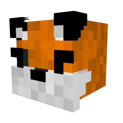 FreddyGames_YT Minecraft avatar head, 3D render