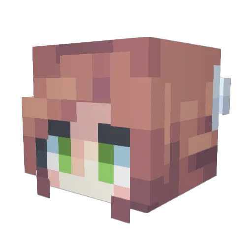 FreddyMaster567 Minecraft avatar head, 3D render