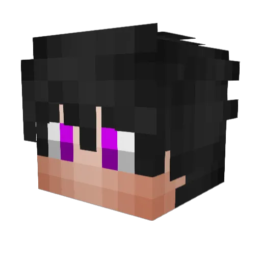 Frede9876 Minecraft avatar head, 3D render